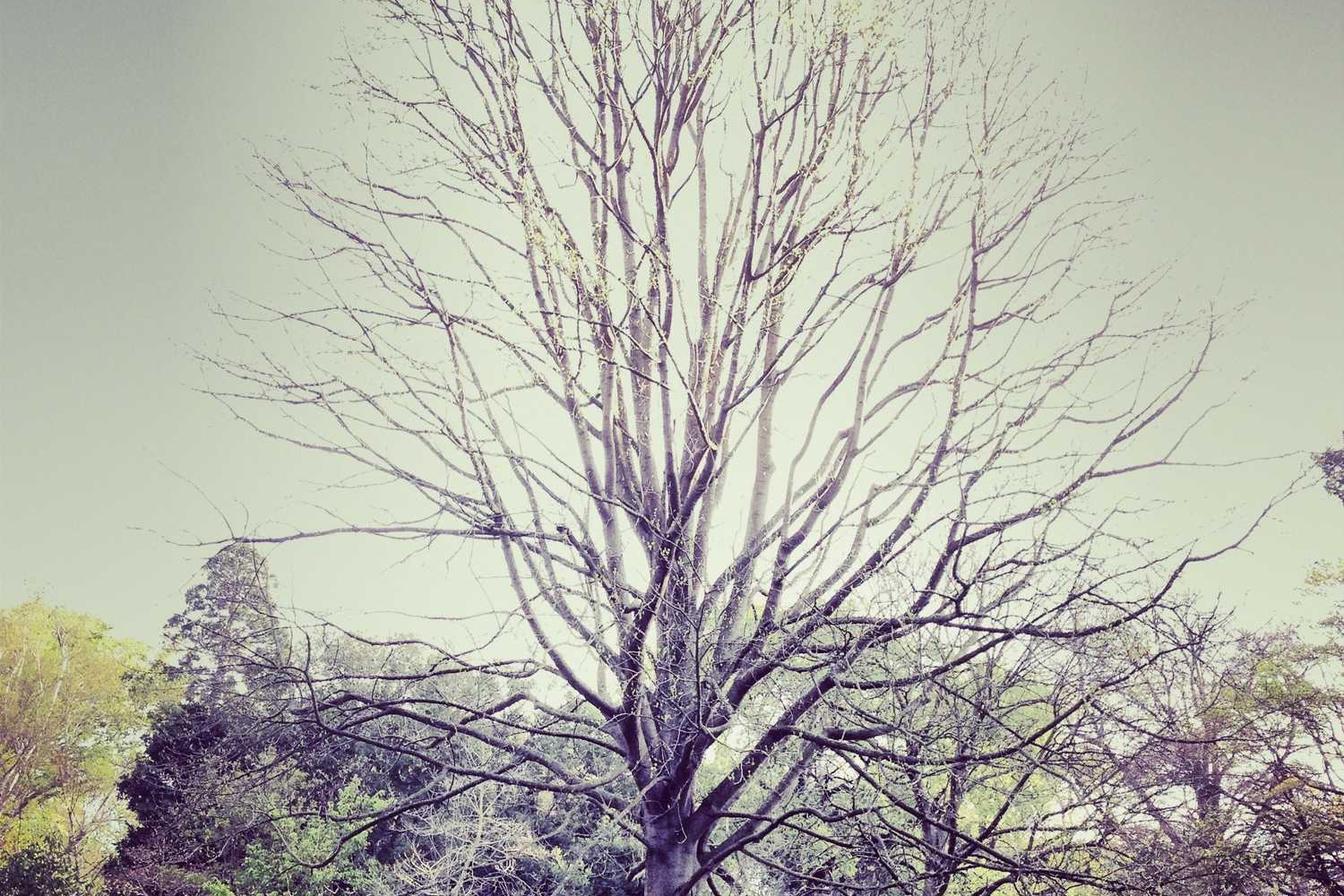 Et eveniet laborum sunt laboriosam qui possimus sed dolore